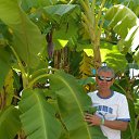 ���� ����������, ������������, 56 ��� - ��������� 15 ����� 2015 � ������ ���� ����������