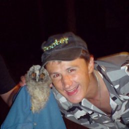 ����, �����-���������, 49 ���