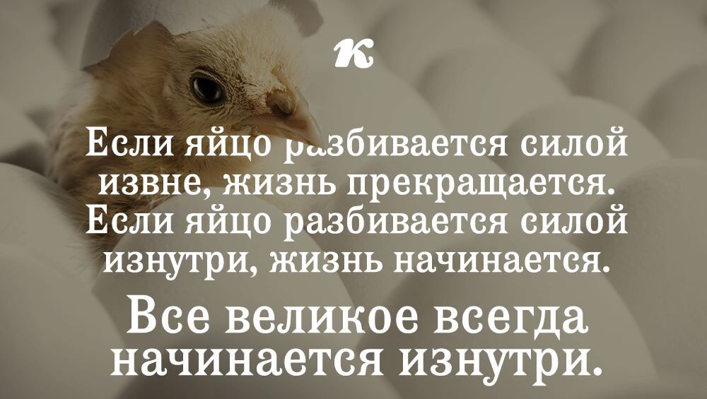 Великий всегда. Если яйцо разбивается силой извне жизнь прекращается. Высказывания про яйца. Цитаты про яйца. Габдулова Нина Галиевна гомеопат.