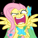  , -, 23  -  1  2015   fluttershy