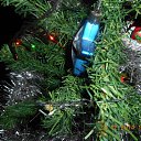 ���� ������, ����, 34 ���� - ��������� 1 ������ 2015 � ������ ������ ��������