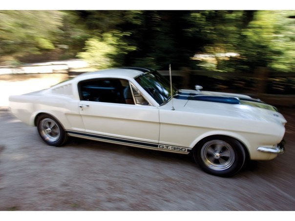 Shelby GT350 Paxton Prototype, 1965 - 6