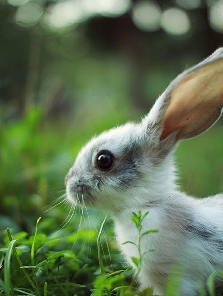 ||  ... || - 6  2015  17:27 - 3