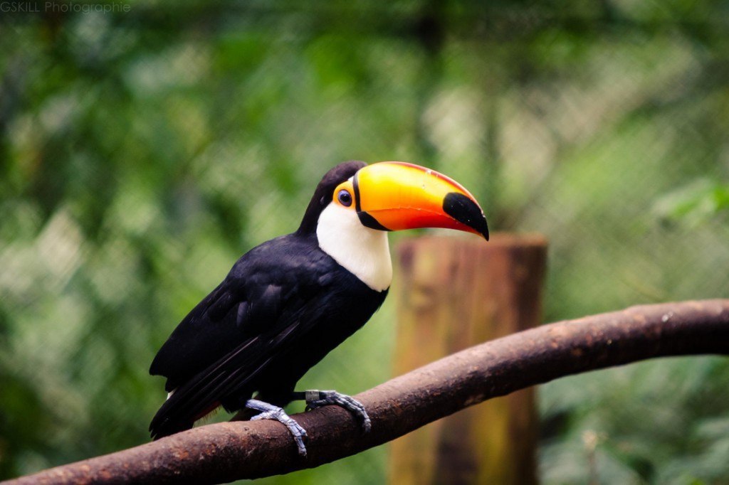  .              ... - 6