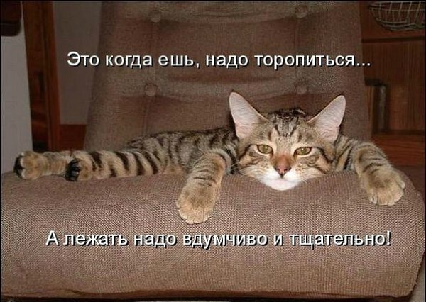  -  - 11  2015  11:24