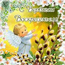 ���� ������, ���� - ��������� 5 ������ 2015 � ������ �������� ��������