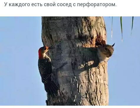 ))) - 18  2015  12:14