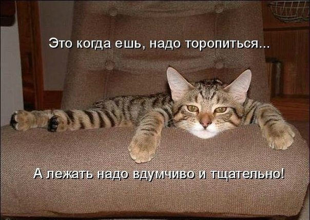  -  - 11  2015  11:24