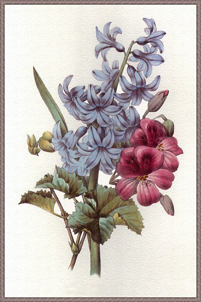 Varios Artists - 169