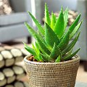 ���� Irina, ����������� - ��������� 22 ����� 2015 � ������ ���������