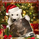 ���� ����, �����-���������, 57 ��� - ��������� 14 ������� 2014 � ������ ������ ��������