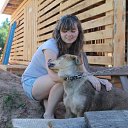 ���� ���������, �������� - ��������� 20 ������ 2015 � ������ ���� ����������