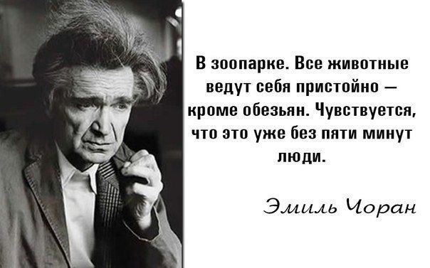   - 6  2015  06:10