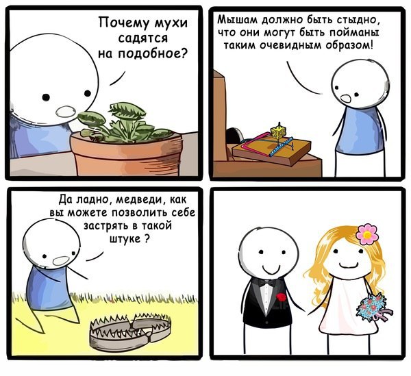  - 4  2015  08:16