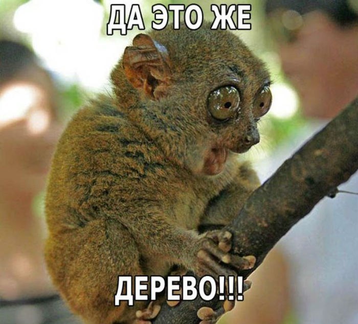   - 24  2014  04:05