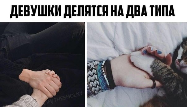   - 22  2015  12:03