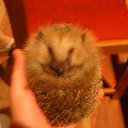  ,  -  25  2015   ...