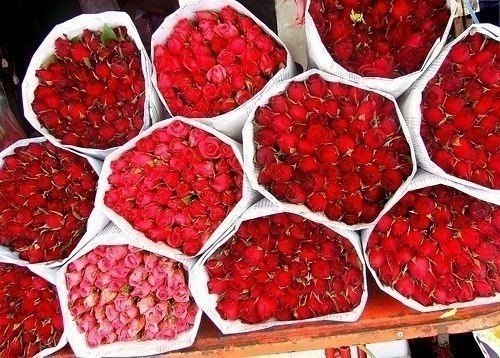 Включи много красных. Включи много красных