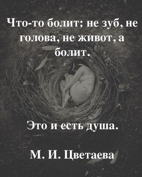  |   - 8  2015  12:08