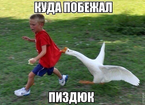   - 10  2015  00:56