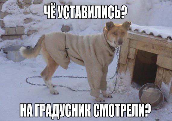 ������������ ���� - 19 ����� 2015 � 11:14