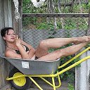  , --, 42  -  11  2015    