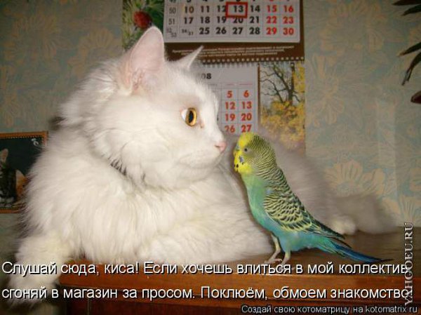 K K - 16  2015  15:47