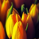 ���� �����, �����, 58 ��� - ��������� 2 ������� 2015 � ������ ������..������ ���������!�