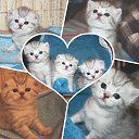 ���� Kati, ������ - ��������� 4 ������� 2015 � ������ ������ ��������