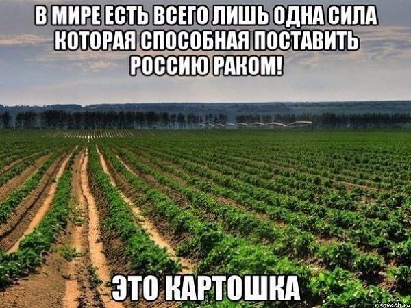   - 2  2015  23:55