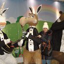 ���� ������, �����, 44 ���� - ��������� 12 ������ 2015 � ������ ������ ��������