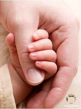    - 8  2015  02:40 - 4