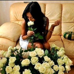 ���� ������, ������ - ��������� 20 ������ 2015