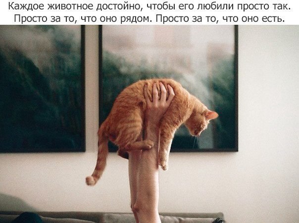       - 2  2015  02:31