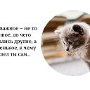 ���� ����, ������������ - ��������� 4 ������ 2015 � ������ ������ ��������