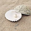 ���� ���������, �����-��������� - ��������� 3 ������� 2015 � ������ ������ ��������