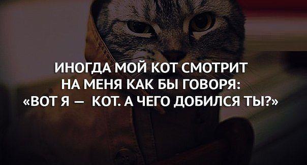,  . <a href=