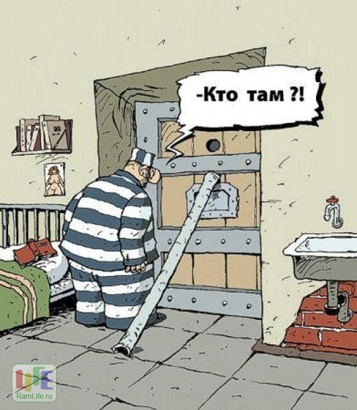 Анекдоты про тюрьму. Тюрьма карикатура. Тюремные карикатуры. Карикатуры на тюремную тему. Приколы про тюрьму