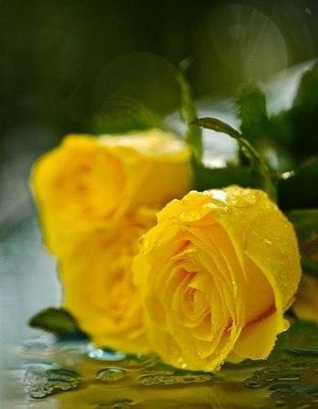 Ошибок не бывает. События, которые вторгаются в нашу жизнь, какими бы неприятными для нас они ни ... - 4