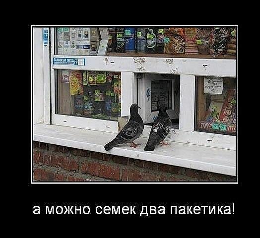   ,  : <a href=