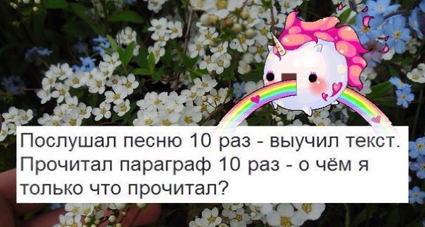   - 9  2015  17:19