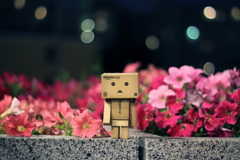    Danbo,       . - 2