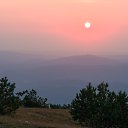 ���� ����, �������, 55 ��� - ��������� 20 ������� 2014 � ������ ����� 2014�