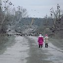 ���� �������, ������, 43 ���� - ��������� 6 ������ 2015 � ������ ���� ����������