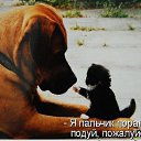 ���� Naida, ����� - ��������� 9 ������ 2015 � ������ ������ ��������