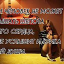 ���� �����, ���� - ��������� 6 ������� 2015 � ������ ������ ��������