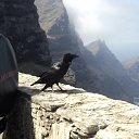 ���� �������, ������ - ��������� 27 ����� 2015 � ������ ���������