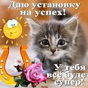 ���� ������ ������, ����, 75 ��� - ��������� 26 ������ 2015 � ������ ������ ��������