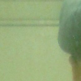 ����, �������, 45 ���