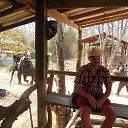 ���� �������, ������, 49 ��� - ��������� 10 ������� 2015 � ������ ���� ����������